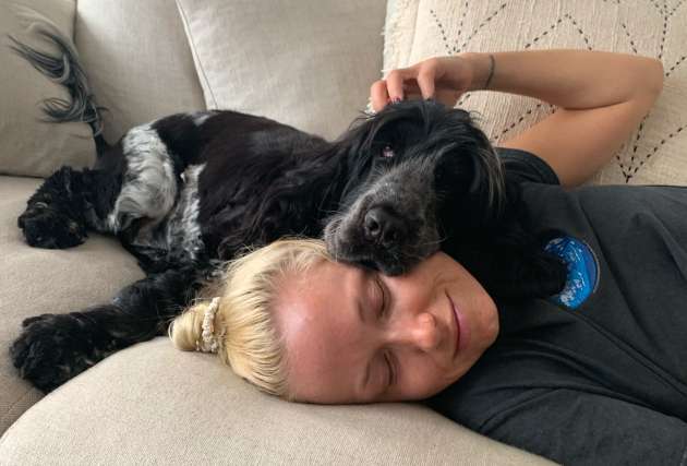 PetStock Adopt dont Shop